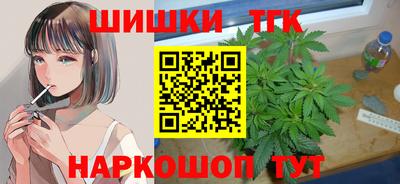 дживик Можга